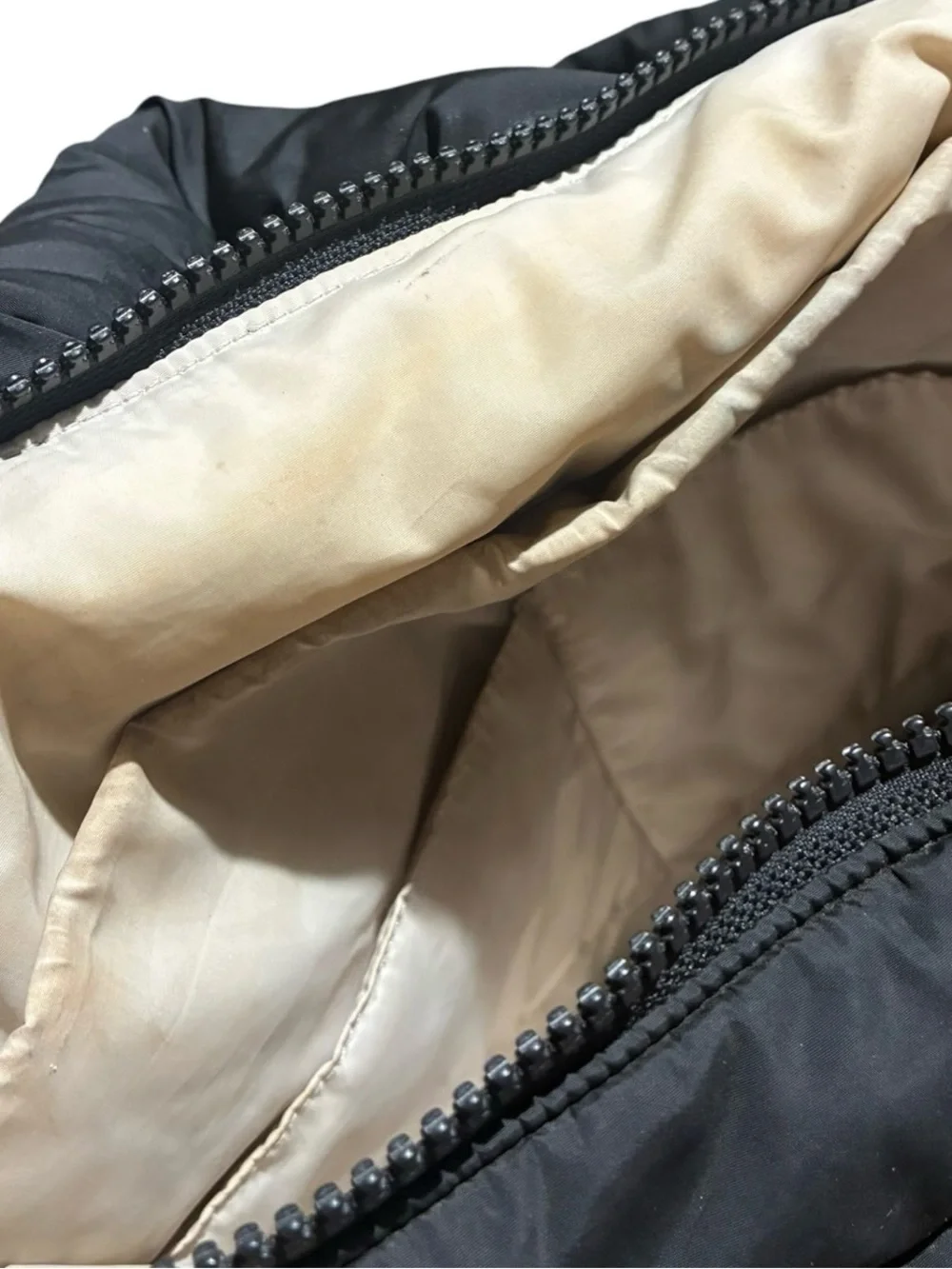 Dagne Dover Walker Backpack Black